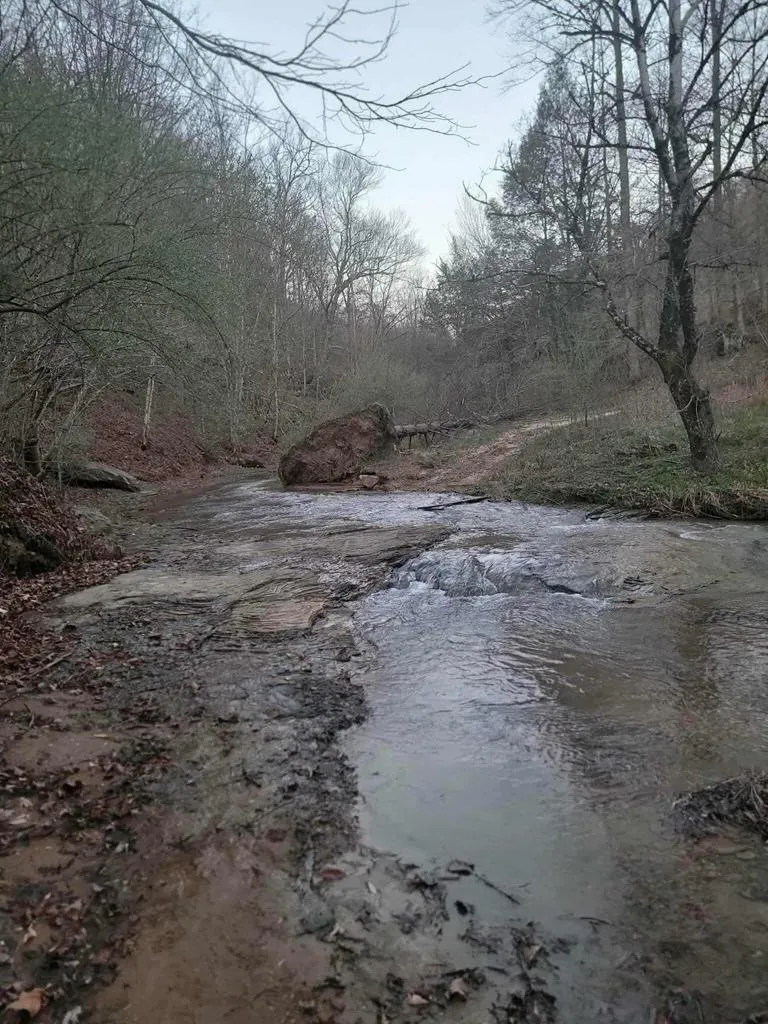 The driveway where it fords the creek, gravel running straight into the water