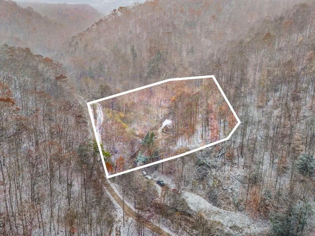Aerial with the listing's outline of the parcel drawn on the wooded hillside