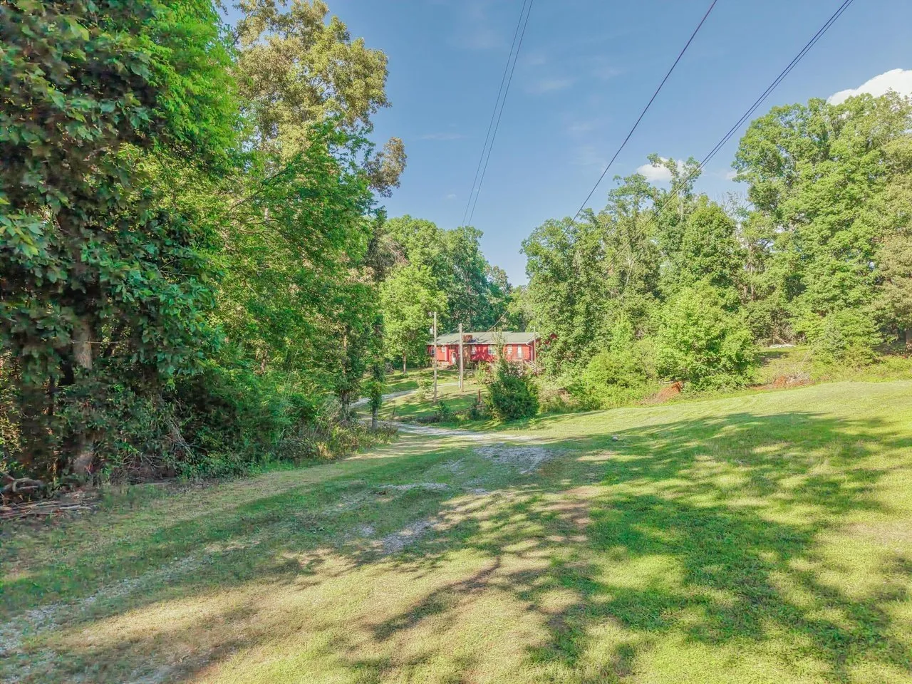 Aerial of the clearing and the house from above the treetops