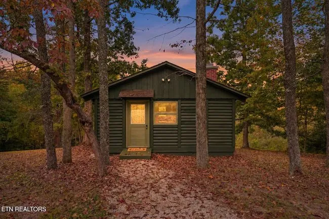 The dark green cabin among bare trees, photographed at dusk