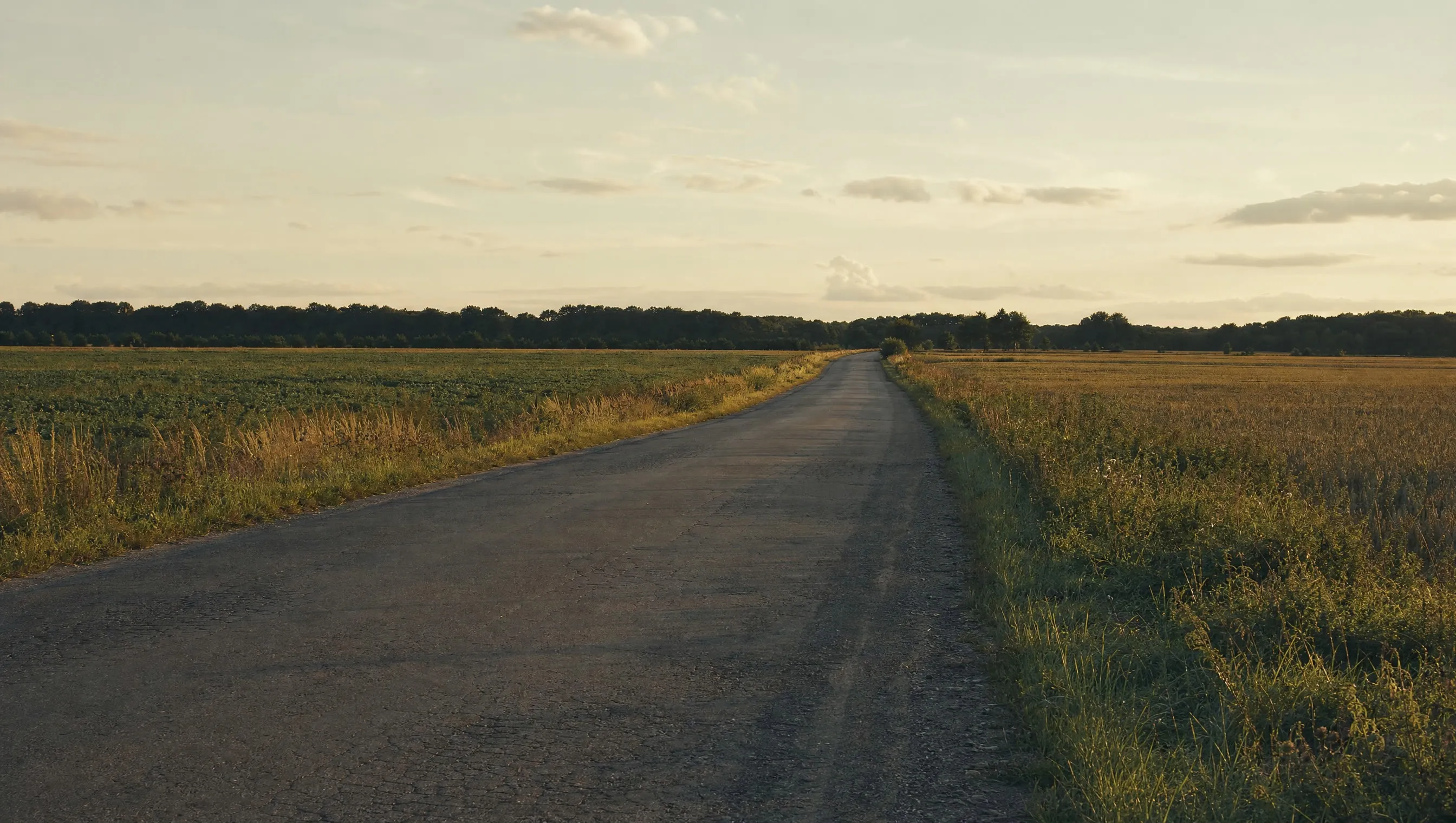 A two-lane road running through open farmland at golden hour