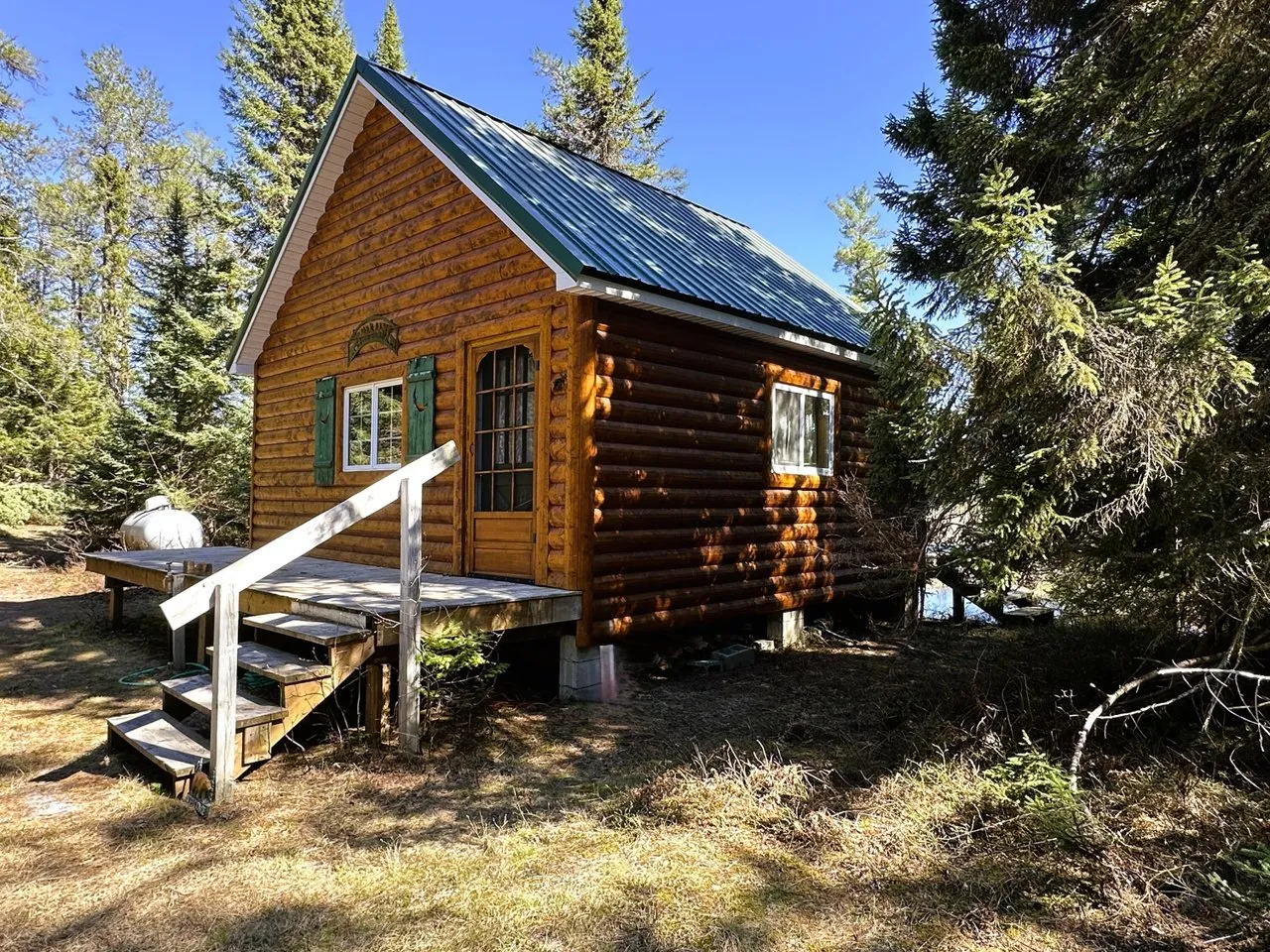 The log cabin among the pines with its deck and steps up to the door