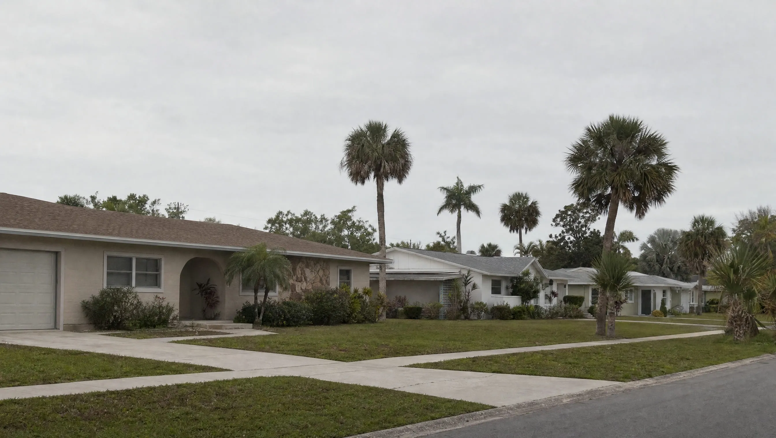 A residential street of single-story homes with palms under a flat overcast sky
