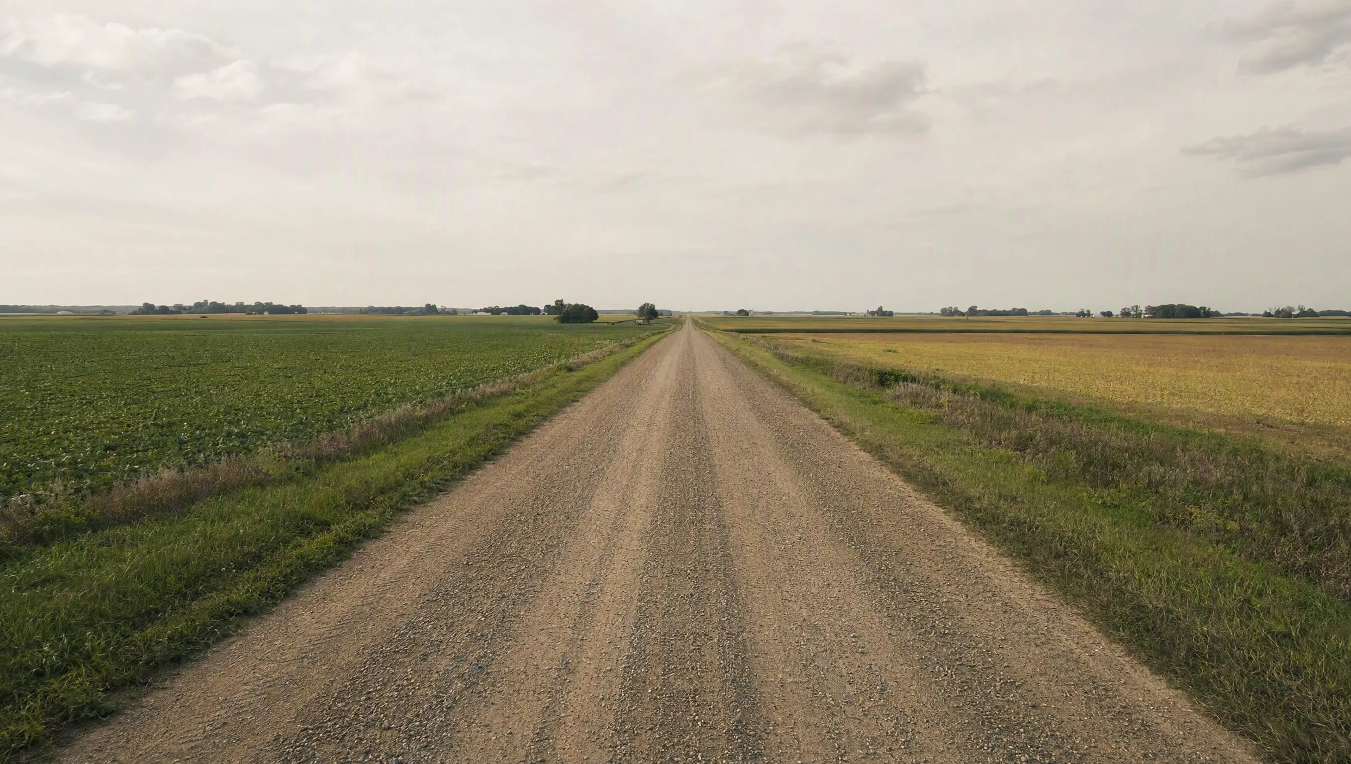 A gravel county road disappearing between fields
