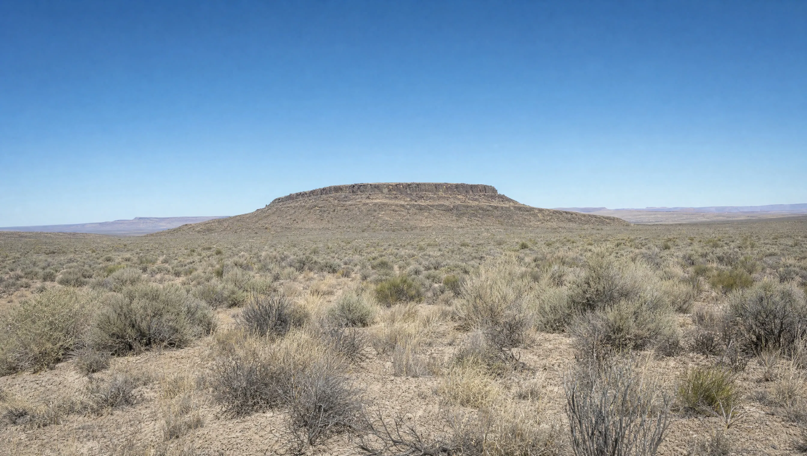 Arid high desert scrub under a wide sky with a distant mesa