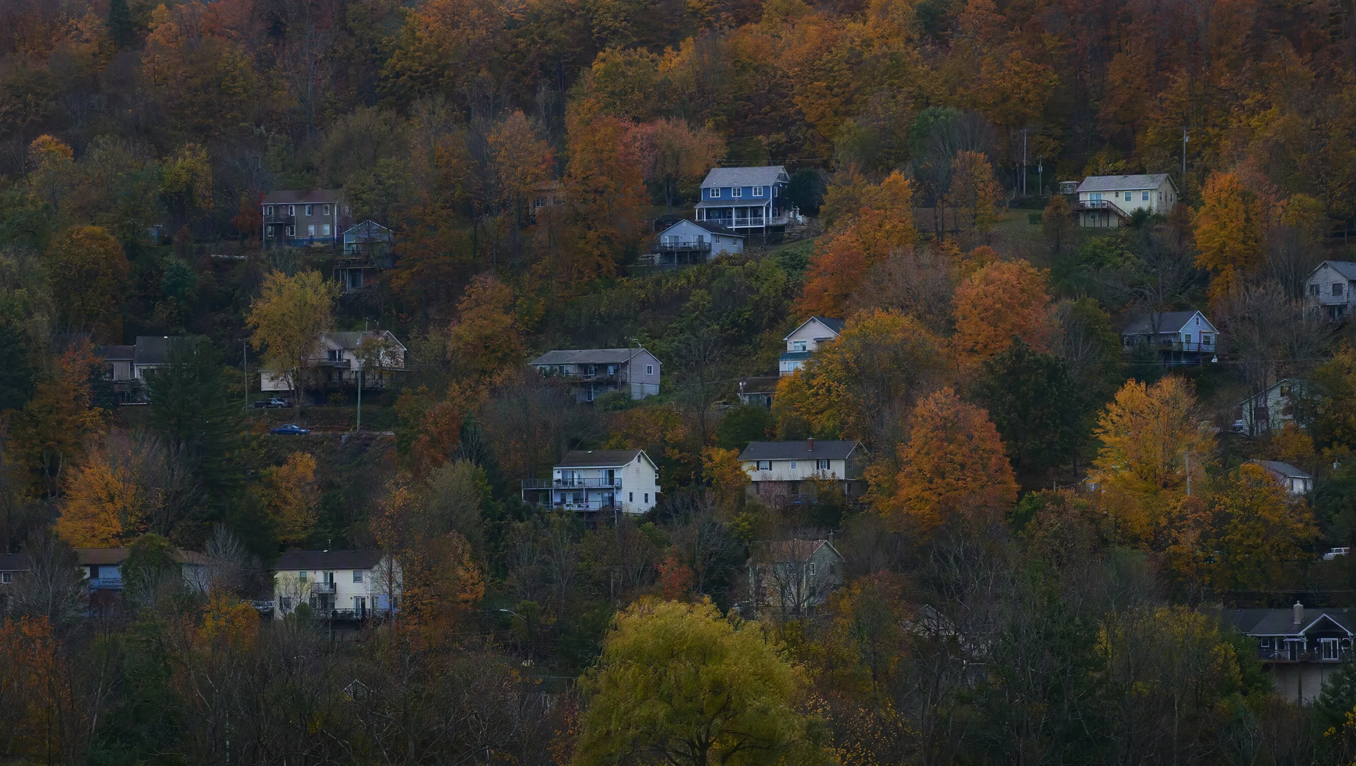 A hillside of houses among hardwoods in autumn color