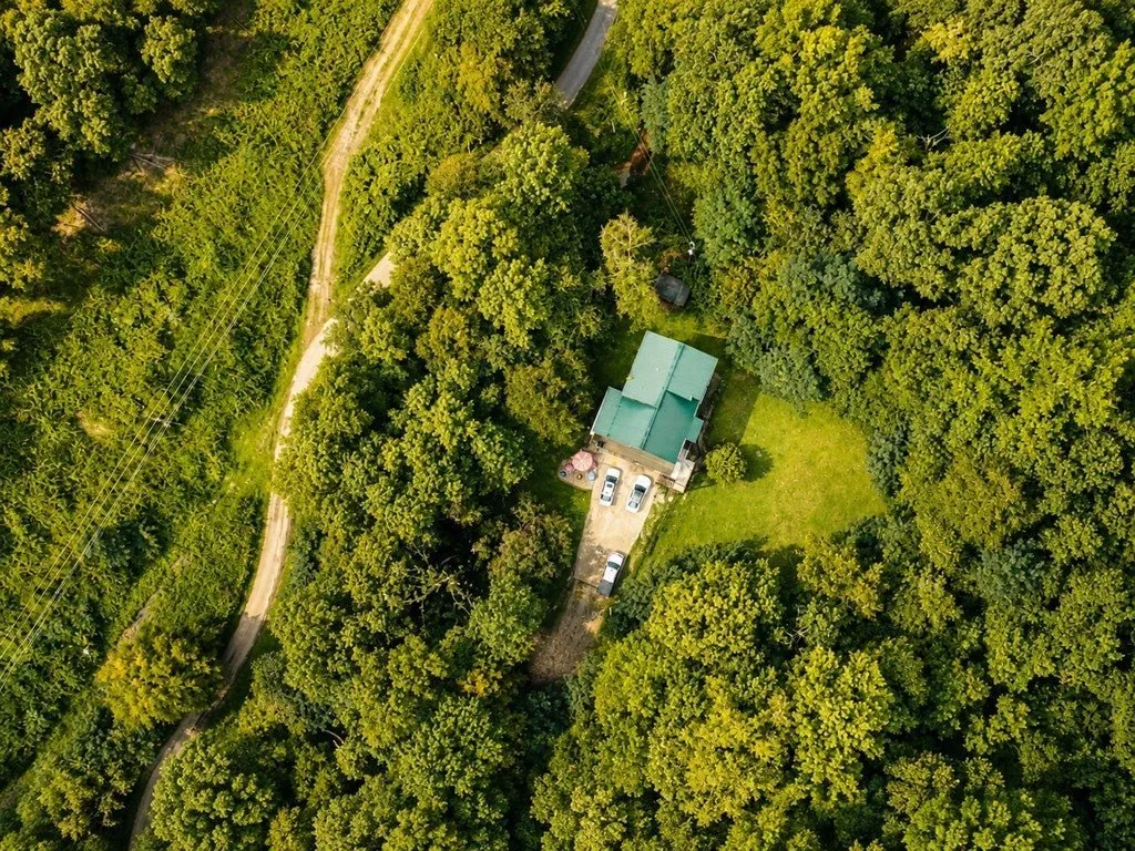 Aerial of the A-frame's green roof in the trees, the driveway climbing the hill