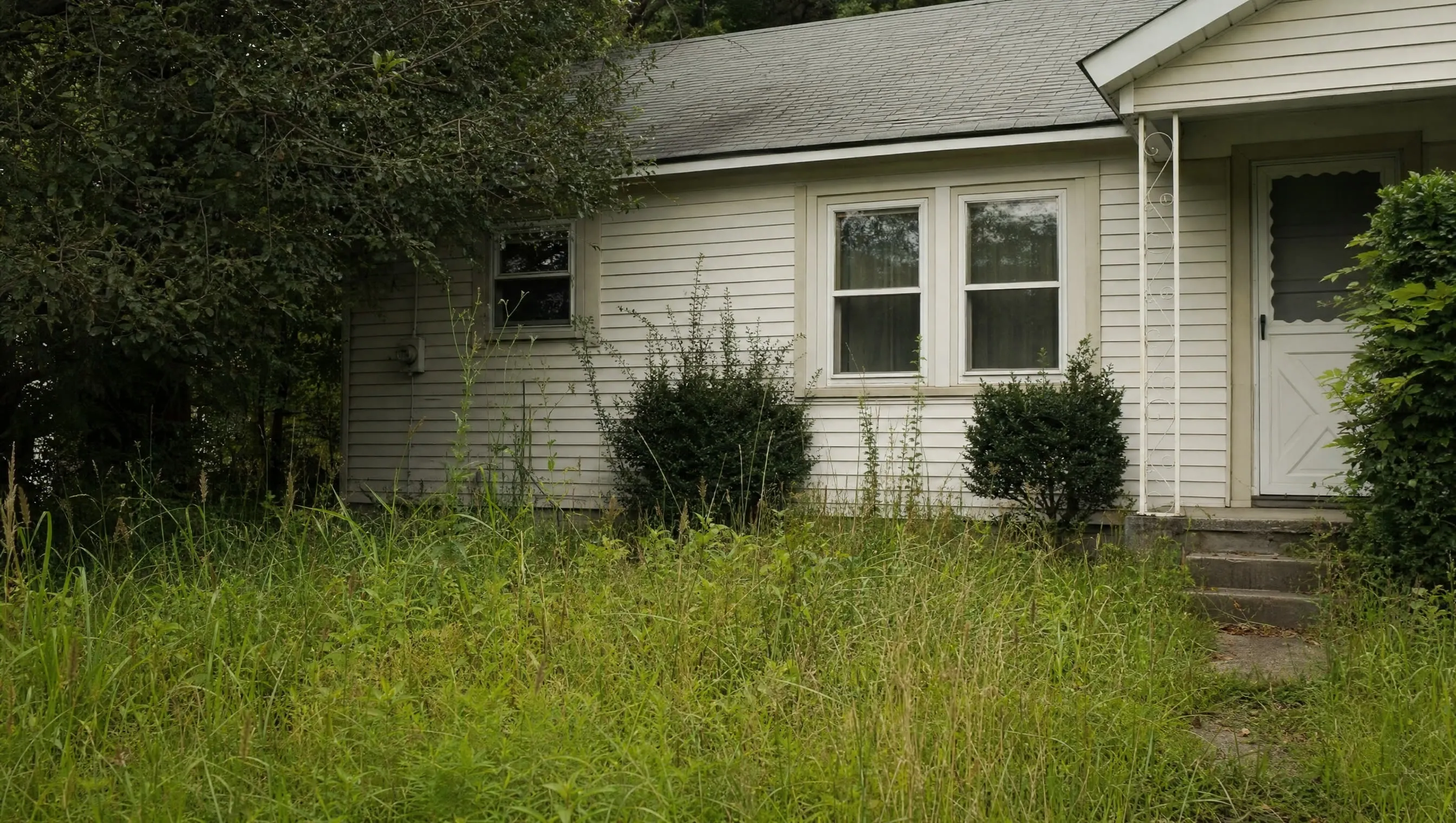 An overgrown lawn in front of an ordinary house