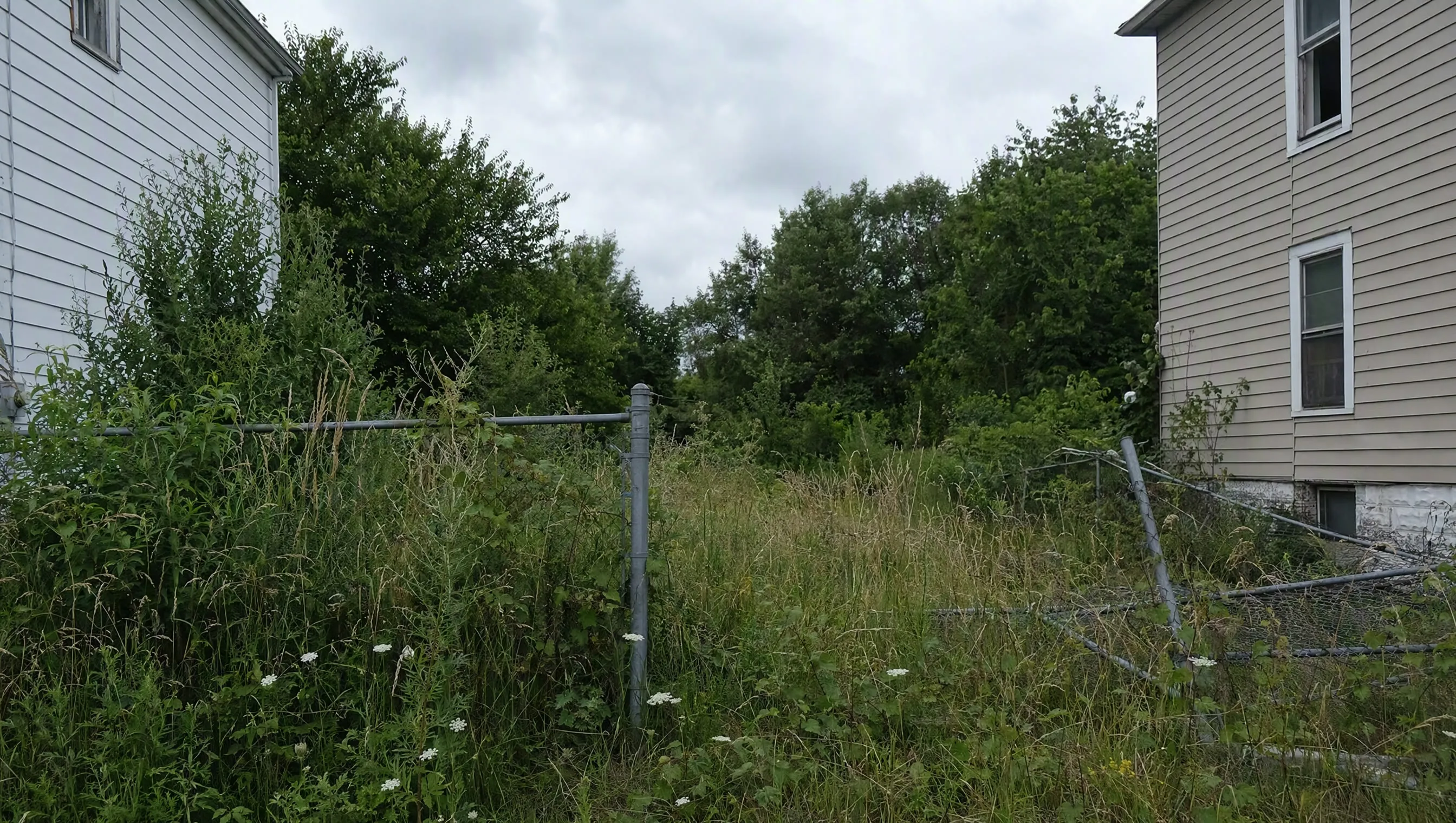 An overgrown vacant lot with tall weeds between two ordinary houses