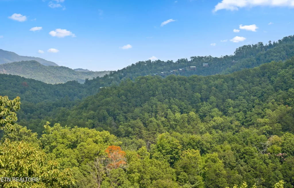 4534 Whetstone Rd, Sevierville, TN 37862