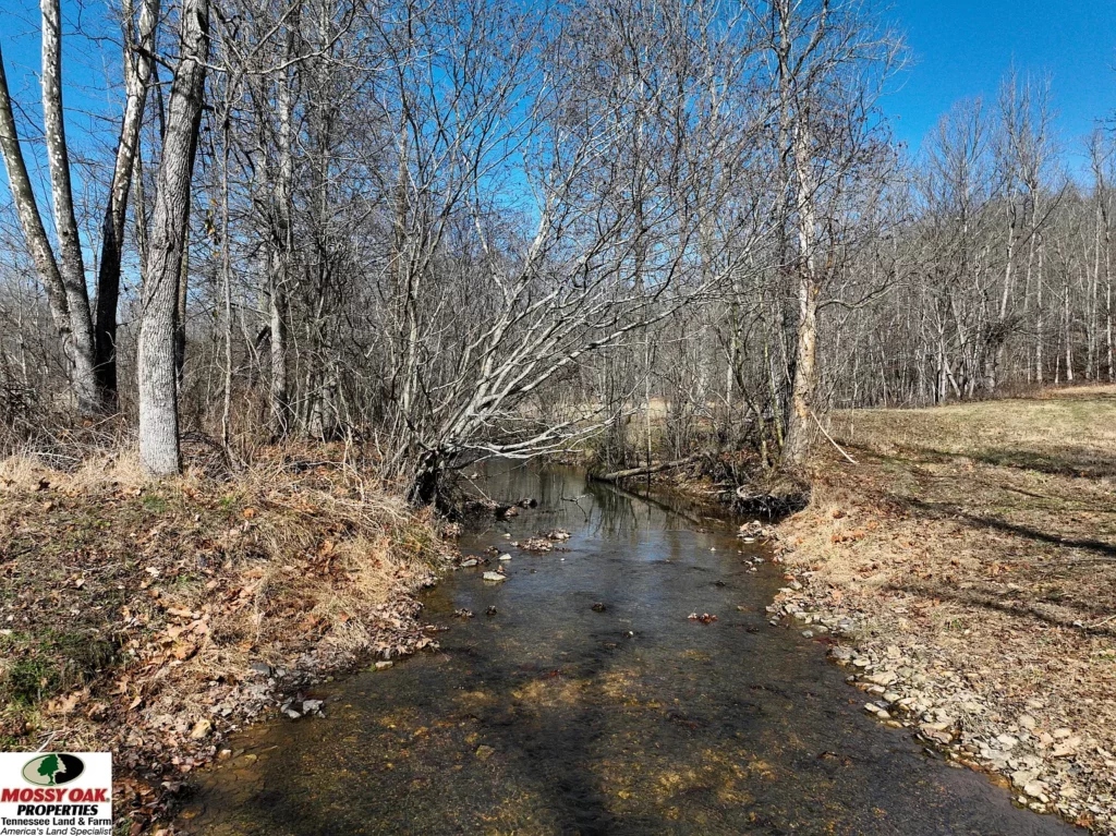 0 Flag Springs Rd, Lynnville, TN 38472