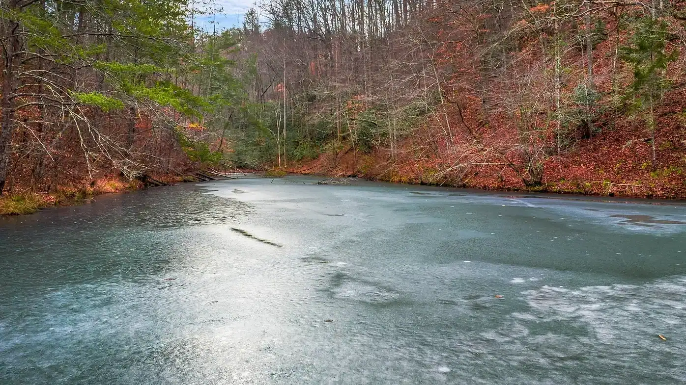 Log Cabin for Sale in Cosby Tennessee on 50 Acres with Pond, Cabins, and Mountain Views 3099 Mica Way, Cosby, TN 37722 Scottie Hooper realtor Cosby Tennessee