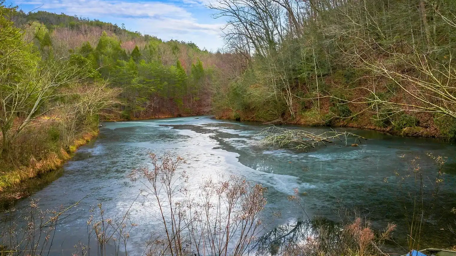 Log Cabin for Sale in Cosby Tennessee on 50 Acres with Pond, Cabins, and Mountain Views 3099 Mica Way, Cosby, TN 37722 Scottie Hooper realtor Cosby Tennessee