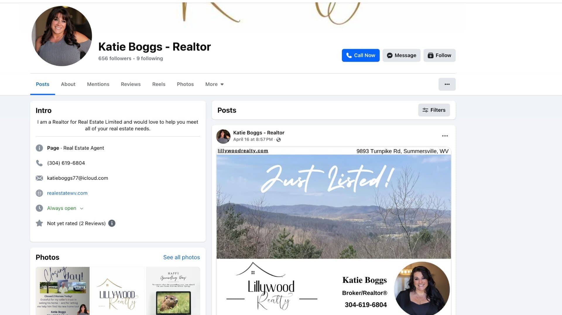 Off Grid Homestead Log cabin home for sale in west virginia Katie Boggs realtor Route 39 Richwood Road Lafrank, Richwood, WV 26261