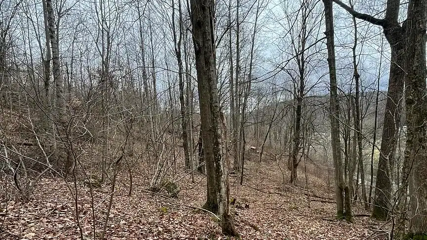 Route 39 Richwood Road Lafrank, Richwood, WV 26261