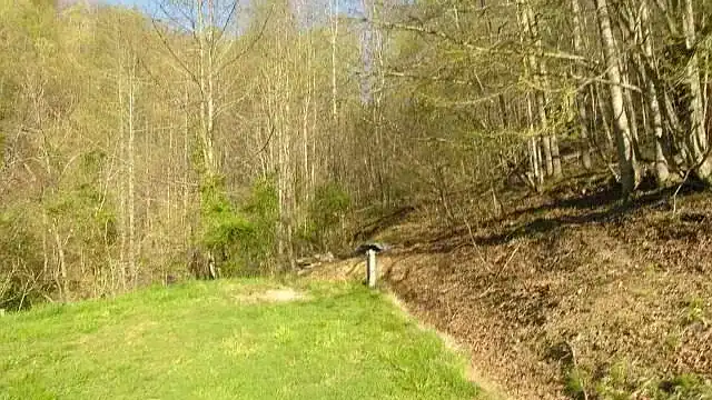 Rustic Craftsman Home on 4 Acres For Sale in Fort Gay, WV – 422 Short Cut Branch Rd, Fort Gay, WV 25514 Preston Cole 304-736-1200, Property Professionals