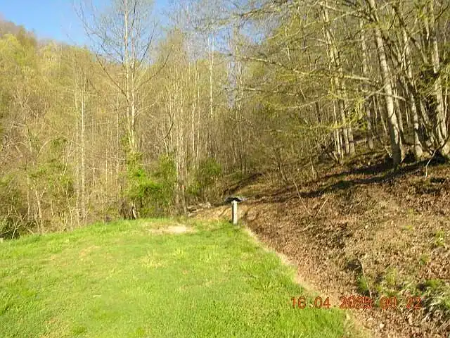 Rustic Craftsman Home on 4 Acres For Sale in Fort Gay, WV – 422 Short Cut Branch Rd, Fort Gay, WV 25514 Preston Cole 304-736-1200, Property Professionals