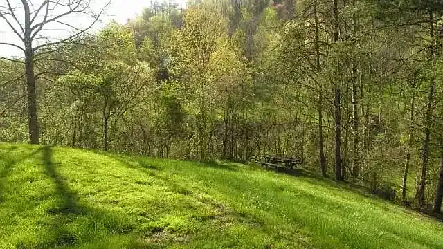 Rustic Craftsman Home on 4 Acres For Sale in Fort Gay, WV – 422 Short Cut Branch Rd, Fort Gay, WV 25514 Preston Cole 304-736-1200, Property Professionals