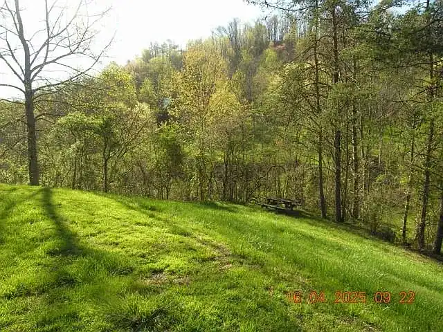 Rustic Craftsman Home on 4 Acres For Sale in Fort Gay, WV – 422 Short Cut Branch Rd, Fort Gay, WV 25514 Preston Cole 304-736-1200, Property Professionals