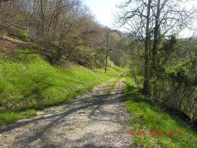 Rustic Craftsman Home on 4 Acres For Sale in Fort Gay, WV – 422 Short Cut Branch Rd, Fort Gay, WV 25514 Preston Cole 304-736-1200, Property Professionals