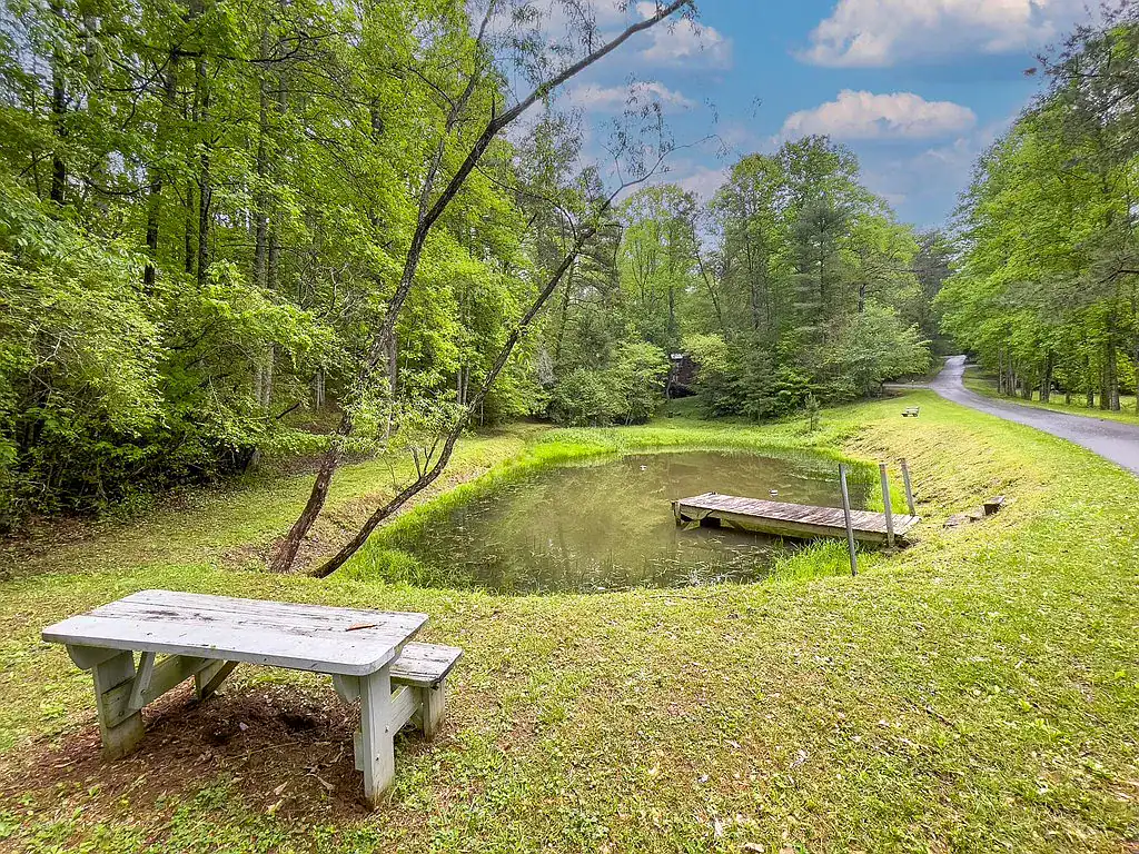Log Cabin For Sale Georgia 121 Farmstead Rd, Ellijay, GA 30540 Tracy Krohn 404-217-5908, Keller Williams Elevate 1