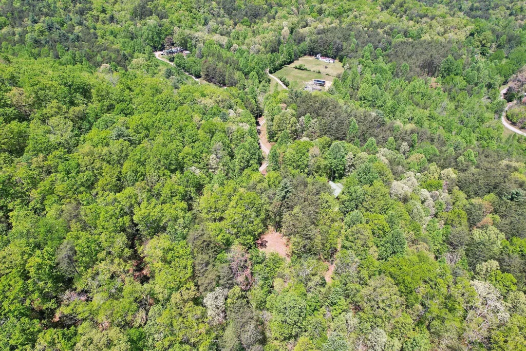 Log Cabin For Sale in Tennessee -147 Blalock Dr, Turtletown, TN 37391