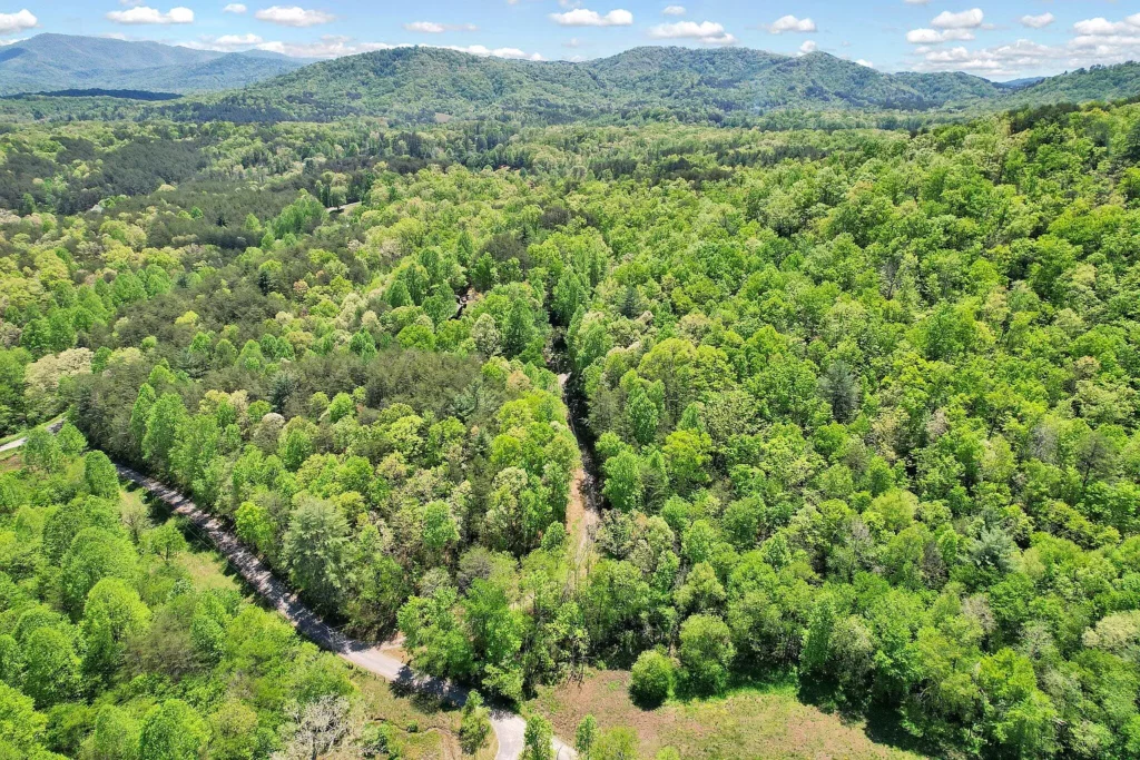 Log Cabin For Sale in Tennessee -147 Blalock Dr, Turtletown, TN 37391